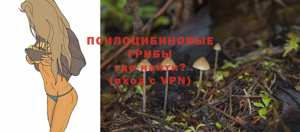 ГАЛЛЮЦИНОГЕННЫЕ ГРИБЫ Богданович