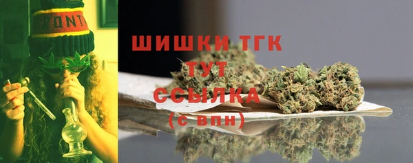 дмт Богородицк