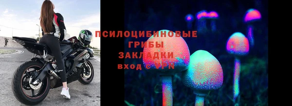 COCAINE Белокуриха