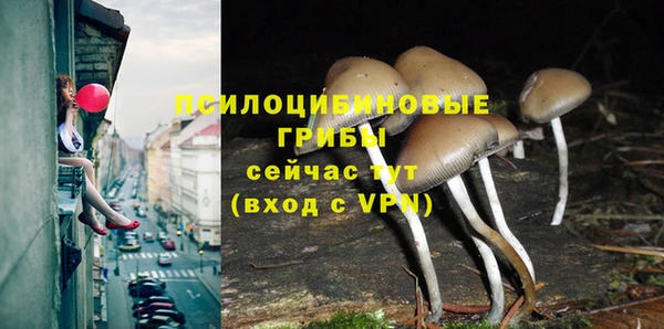 COCAINE Белокуриха