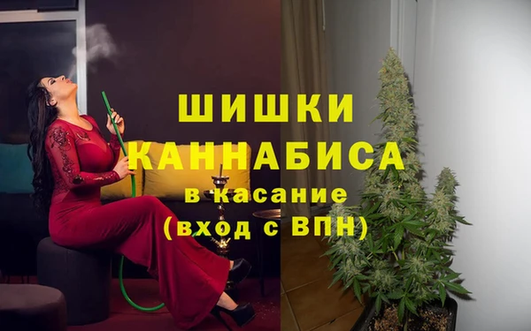 ГАЛЛЮЦИНОГЕННЫЕ ГРИБЫ Богданович