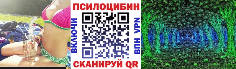 закладка  Волжск  Галлюциногенные грибы мицелий 